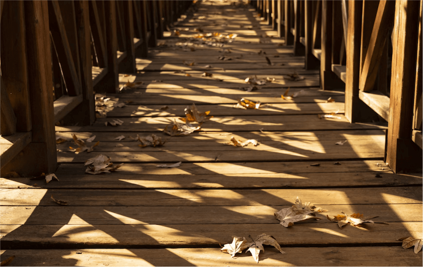 Deck Construction